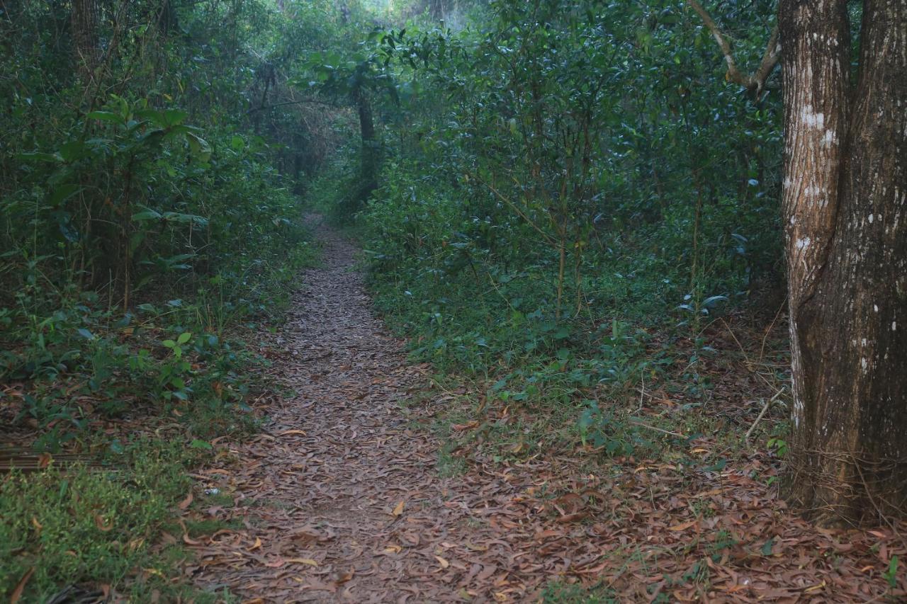 Arakkal Heritage 马拉利库兰 外观 照片