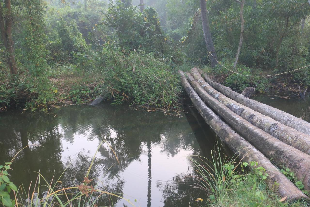 Arakkal Heritage 马拉利库兰 外观 照片